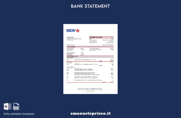 Modello Excel di estratto conto bancario BIDV Vietnam in stile verificato